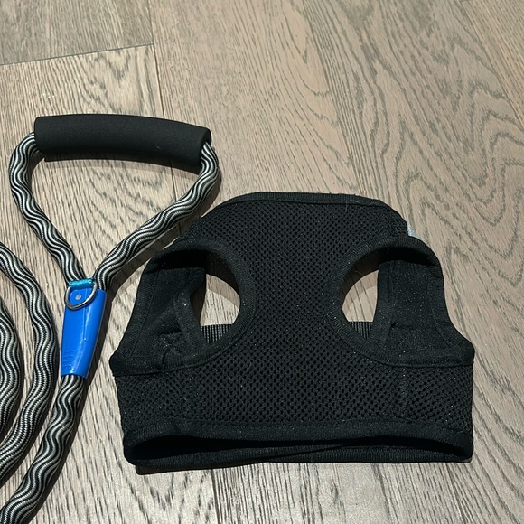 Dog starter kit (harness, leash and collar) - Picture 3 of 6